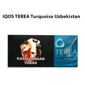 IQOS TEREA Turquoise Uzbekistan Heated Tobacco Sticks for IQOS ILUMA in UAE