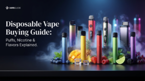 Disposable Vape Buying Guide